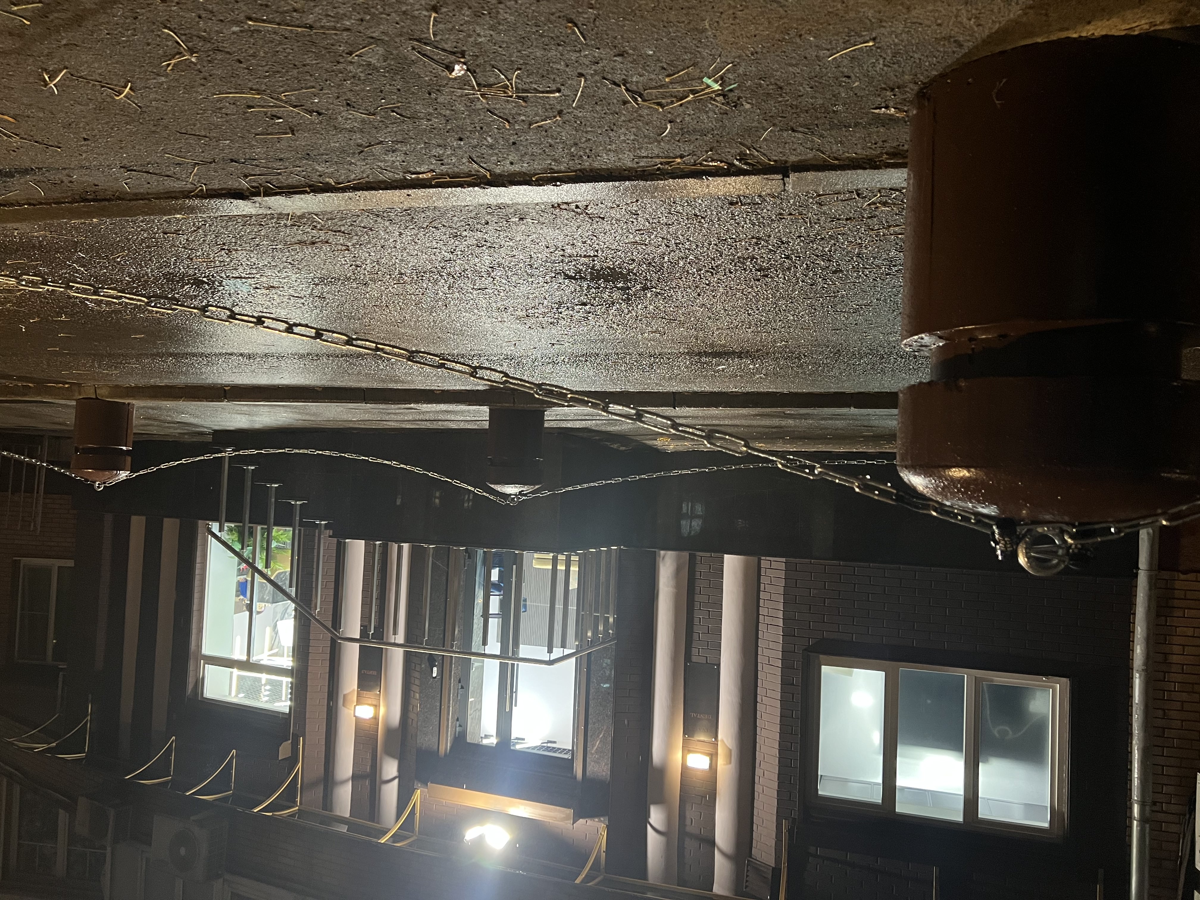 ортодонтия в клинике неватекс фото-8 ортодонтия в клинике неватекс фото-8