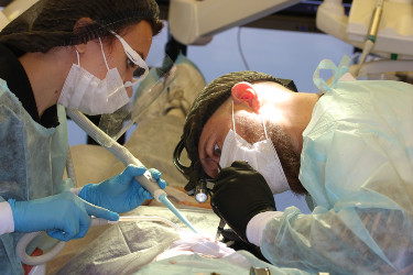 операция allon4